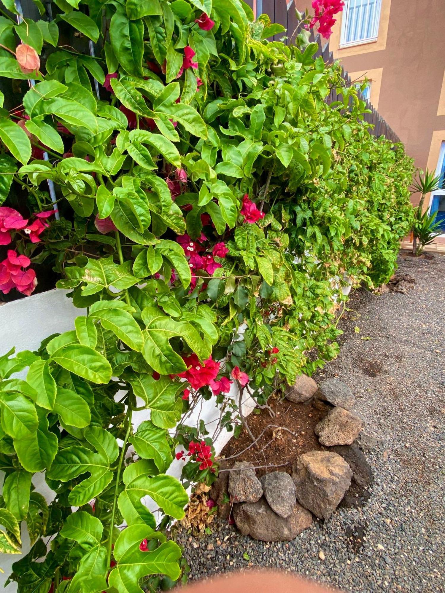 Blue Wave House Corralejo Διαμέρισμα La Oliva Εξωτερικό φωτογραφία
